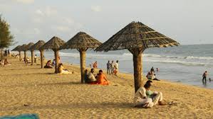 Munnar, Cherai Beach Trip